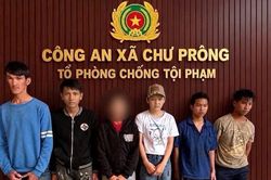 Gia Lai: Tạm giữ hình sự nhóm thanh thiếu niên giàn cảnh, dùng vũ lực cướp điện thoại của cụ ông