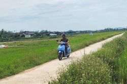 Chuyển hồ sơ sai phạm tại 92 công trình ở xã Tràng Sơn cũ sang Cơ quan điều tra