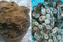Đào móng xây nhà phát hiện chum sành chứa cả yến tiền xu