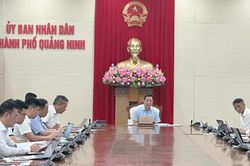 Tập trung tháo gỡ mặt bằng, bảo đảm tiến độ các dự án truyền tải điện tại Quảng Ninh