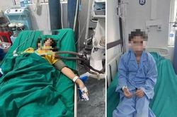 Bộ Y tế chỉ đạo xác minh vụ nghi ngộ độc khiến 2 người tử vong ở Tuyên Quang