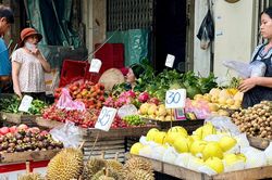 Sầu riêng 25.000 đồng/kg hút khách, loại cao cấp giá tới 1,8 triệu đồng