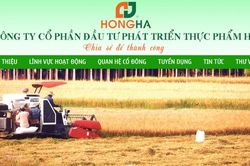 Biến động thực phẩm Hồng Hà: 5 sếp lớn rút lui, doanh thu rơi từ 460 tỷ xuống dưới 1 tỷ