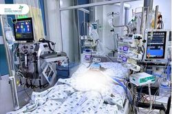 Hai trẻ thở máy, nguy kịch sau 5 ngày sốt