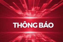 Phát hiện thi thể thai nhi trong túi nilon, cảnh sát hình sự vào cuộc xác minh