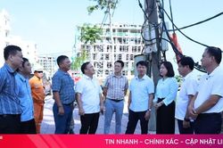 Khảo sát hoạt động kinh doanh bán lẻ điện của hợp tác xã ở Thiên Cầm