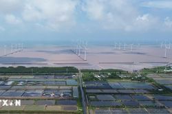 Cà Mau: Phê duyệt chủ trương đầu tư dự án điện gió vốn đầu tư gần 5.000 tỷ đồng