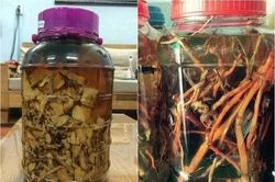 2 người ở Tuyên Quang tử vong sau khi uống một loại nước pha từ thực vật