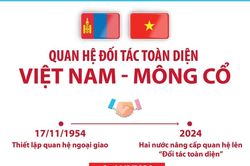 Quan hệ Đối tác toàn diện Việt Nam - Mông Cổ
