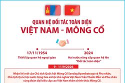Quan hệ Đối tác toàn diện Việt Nam - Mông Cổ