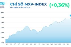 Giá đồng thiết lập mức đỉnh lịch sử, giá lúa mì lao dốc 6%