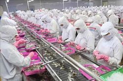 Việt Nam- Pháp: Động lực mới cho phát triển thương mại và đầu tư