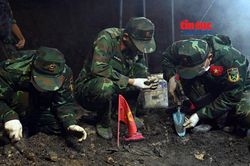 TP Hồ Chí Minh: Đã quy tập 605 bộ hài cốt liệt sĩ tại Công viên Lê Thị Riêng