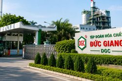 Cổ phiếu DGC có nhiều biến động trước ngày chốt quyền nhận cổ tức 80%