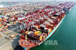 Kim ngạch thương mại của Trung Quốc duy trì đà tăng trưởng mạnh