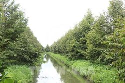 Số hóa vùng nguyên liệu, tạo nền tảng cho nông nghiệp minh bạch