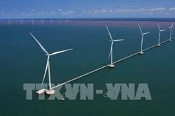 Cà Mau phê duyệt 2 dự án điện gió gần 5.000 tỷ đồng tại xã Vĩnh Hậu