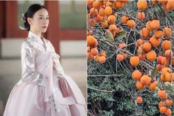 Những thức quà làm nên vẻ đẹp mùa thu ở quê Phương Oanh