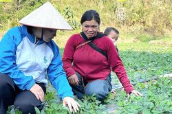 Lai Châu: 80% hội viên, phụ nữ được tuyên truyền, nâng cao nhận thức về khởi nghiệp, phát triển kinh tế
