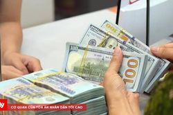 Tỷ giá ngoại tệ ngày 9/9: USD ngân hàng biến động nhẹ, EUR và GBP đi ngang