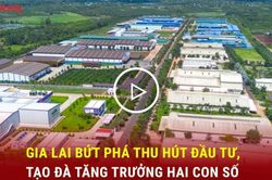 Gia Lai bứt phá thu hút đầu tư, tạo đà tăng trưởng hai con số