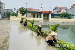 Nâng chất lượng các tiêu chí nông thôn mới