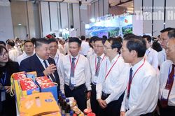 Kết nối vùng miền từ những sản phẩm đặc trưng