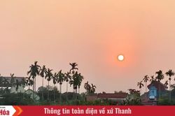 Mùa cau gọi ký ức về