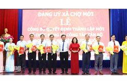 Thành lập 10 đảng bộ cơ sở trực thuộc Đảng bộ xã Chợ Mới