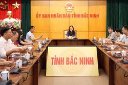 Bắc Ninh: Góp ý xây dựng chiến lược quốc gia phát triển nền Y học cổ truyền Việt Nam