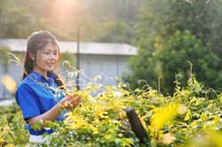 Trải nghiệm miền sâm núi Dành