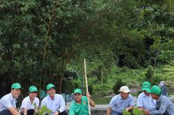Trồng 500 cây khởi động hành trình '1 tỷ xanh' tại Cù Lao Chàm