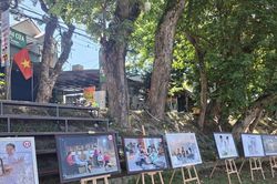 Phòng, chống bạo lực gia đình:Chủ động ngăn ngừa từ sớm, từ xa
