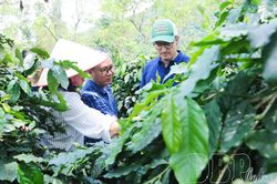 Đẩy nhanh tiến độ dự án đầu tư nông nghiệp