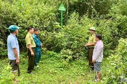 Siết chặt quản lý, bảo vệ rừng