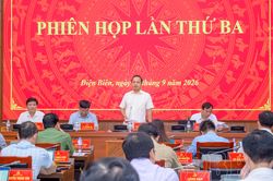 Phát triển KHCN, đổi mới sáng tạo và chuyển đổi số nhanh hơn, quyết liệt hơn, hiệu quả hơn