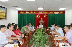 Rà soát nội dung kế hoạch triển khai các nhóm dịch vụ công chủ động và thử nghiệm nền AI hỗ trợ công vụ