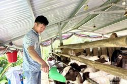 Chiến Thắng: Tiếp sức phát triển sản xuất