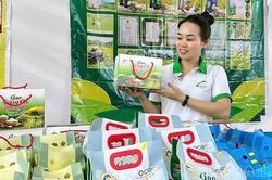 Lào Cai có 3 nông dân được công nhận “Nông dân Việt Nam xuất sắc 40 năm Đổi mới” năm 2026