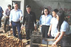 Ngành quế 8 tháng năm 2026: Thị trường nào đang thay thế dần "ngôi vương" châu Á?