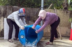 Lâm Đồng khẩn trương kiểm soát sốt xuất huyết và tay chân miệng