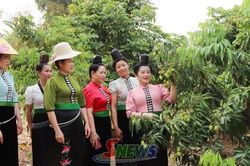 Phụ nữ Mường Bú thi đua làm kinh tế giỏi