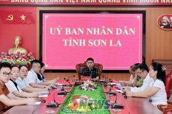 Hội thảo xây dựng Chiến lược quốc gia phát triển toàn diện nền y học cổ truyền Việt Nam