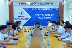 Đoàn công tác NSMO làm việc tại Công ty Điện lực Quảng Ninh