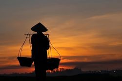 Vu lan nhớ mẹ