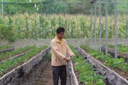 Thể chế mới mở kỳ vọng bứt phá cho khu vực lõi nghèo