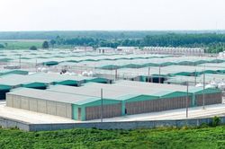 BAF lập công ty con vốn 100 tỷ đồng tại Gia Lai