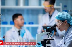 Bộ Nội vụ thúc đẩy đột phá chính sách thu hút, trọng dụng nhân tài