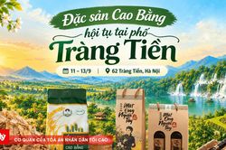 Đặc sản Cao Bằng 'đổ bộ' phố Tràng Tiền