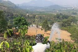 Cao điểm mùa mưa nhưng ao hồ ở Lâm Đồng vẫn cạn nước